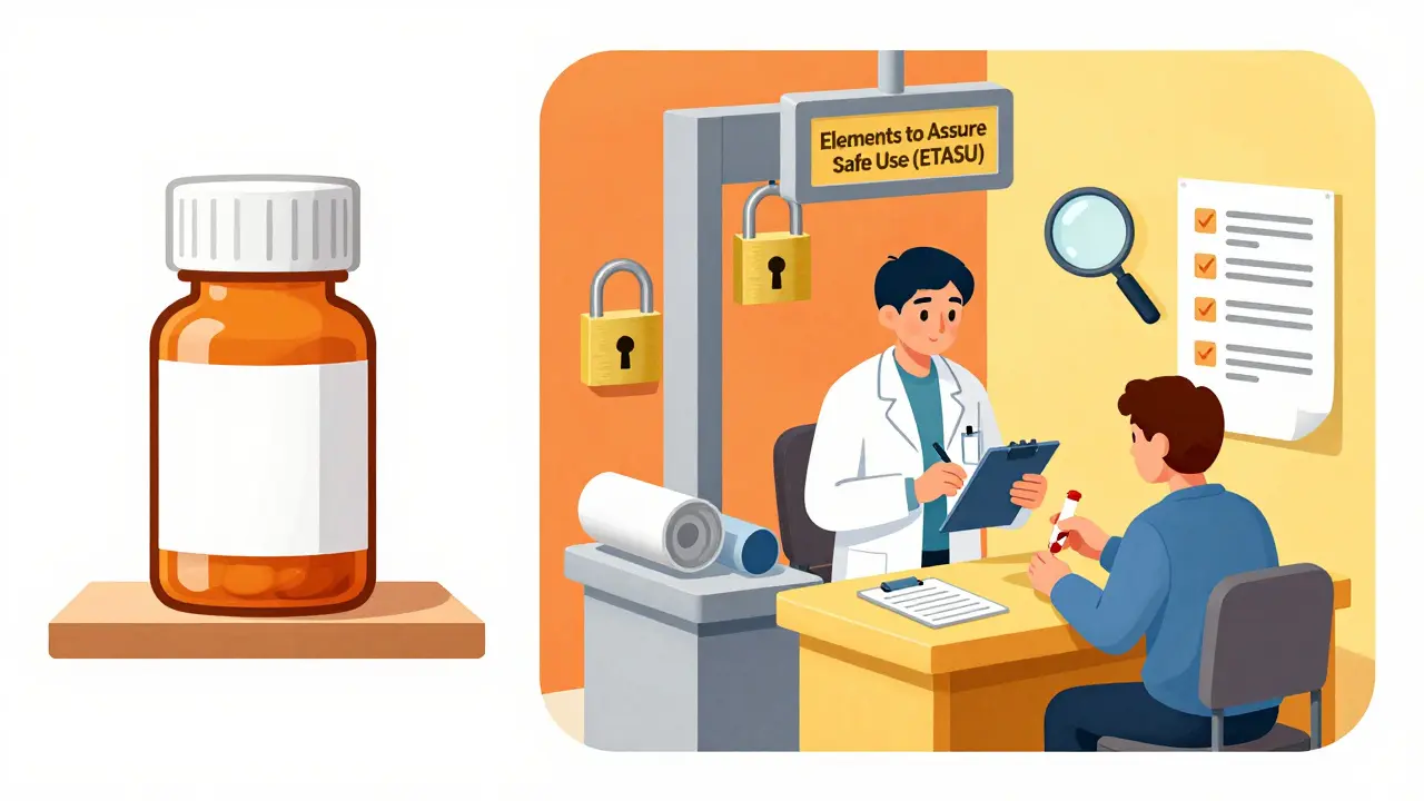 Illustration comparing simple drug labels vs complex REMS safety checks